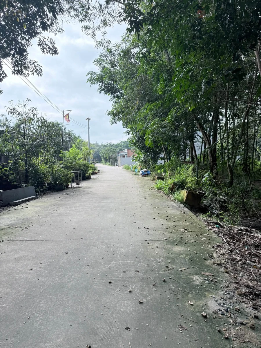Bán đất Tân Bình 185m² giá 1 tỷ 5 - Ảnh thu nhỏ 2
