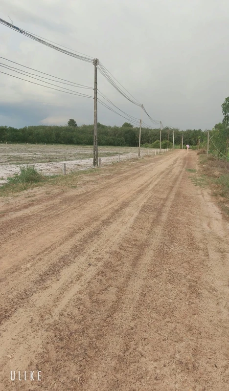 Bán đất sổ riêng 200m² Thạnh Bình Tây Ninh 129 triệu