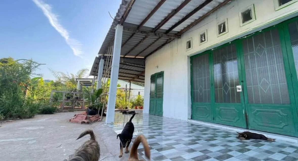 Bán nhà cấp 4 425m2, 4 phòng ngủ, hẻm TL833 Cầu Tổng Uẩn, Tân An - Ảnh 1