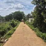 Bán đất 5x10m, 50m² thôn 4 Cư Bua, Bình Chánh, 790 triệu - Ảnh thu nhỏ 3