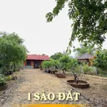 Bán nhà vườn Buôn Ma Thuột 1012m² gần chợ Đạt Lý 3.65 tỷ - Ảnh thu nhỏ 3