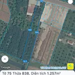 Bán 1257 m² đất trồng lúa Tân Triều Đồng Nai 6 tỷ - Ảnh thu nhỏ 3