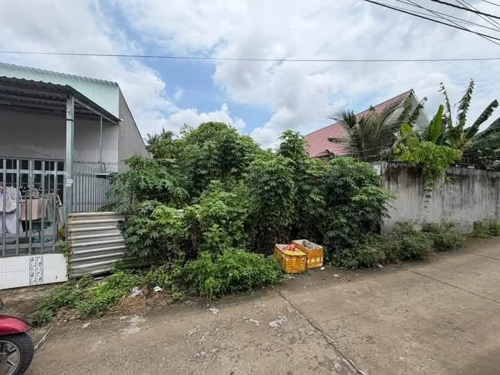 Bán đất mặt tiền Xã Bình Phú, Bến Tre, 159m², 979 triệu - Ảnh thu nhỏ 2