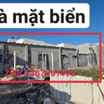 Bán đất mặt biển Phú Quý 227,7m² sổ hồng, 26tr/m² - Ảnh thu nhỏ 5