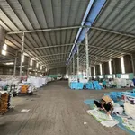 Bán kho xưởng 4.300 m² Tây Ninh đường Bờ Kênh Trị Yên - Ảnh thu nhỏ 5