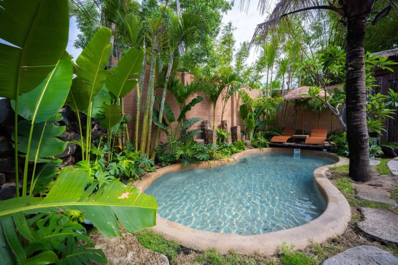 Homestay nhà vườn xinh xắn không gian sống yên bình giữa đồng quê Tuy An