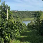Bán đất 1,2 hectare cafe view hồ Thuận Hà - Ảnh thu nhỏ 1