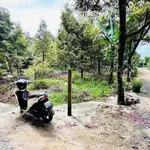 Bán 3 lô đất liền kề 186m² Bảo Lộc 1 tỷ 7 - Ảnh thu nhỏ 1
