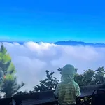 Bán đất nghỉ dưỡng hơn 200m2 view sông Đồng Nai, xã Tân Nghĩa, Di Linh, Lâm Đồng, giá hơn 700 triệu - Ảnh thu nhỏ 3