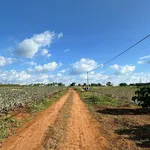 Bán đất Pleiku 100m² thổ cư hẻm Trần Nhật Duật - Ảnh thu nhỏ 5