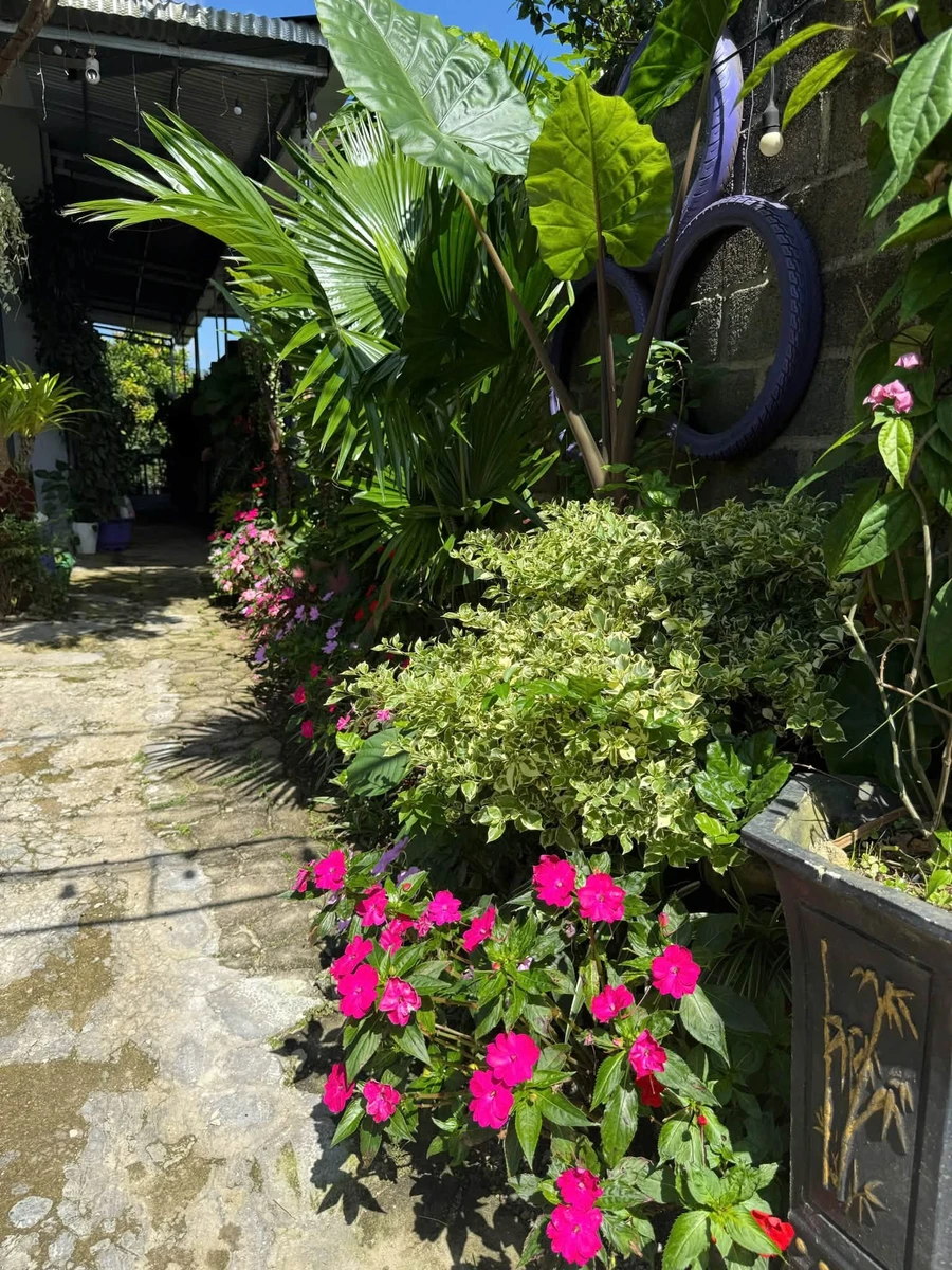 Nhà vườn 3PN view núi Bảo Lâm, Lâm Đồng 560m², 2,5 tỷ - Ảnh thu nhỏ 2