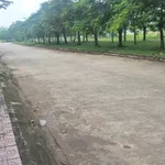 Bán đất 5x20m đường Hàng Phượng 1,25 tỷ - Ảnh thu nhỏ 4