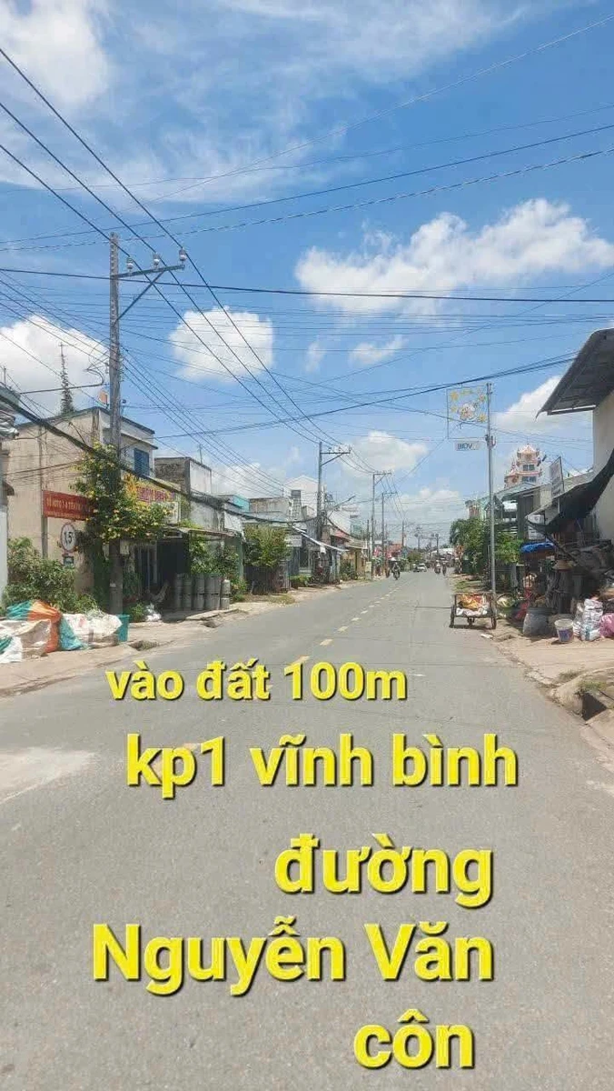 Bán lô đất 125m2 Gò Công Tây Tiền Giang - Ảnh thu nhỏ 2
