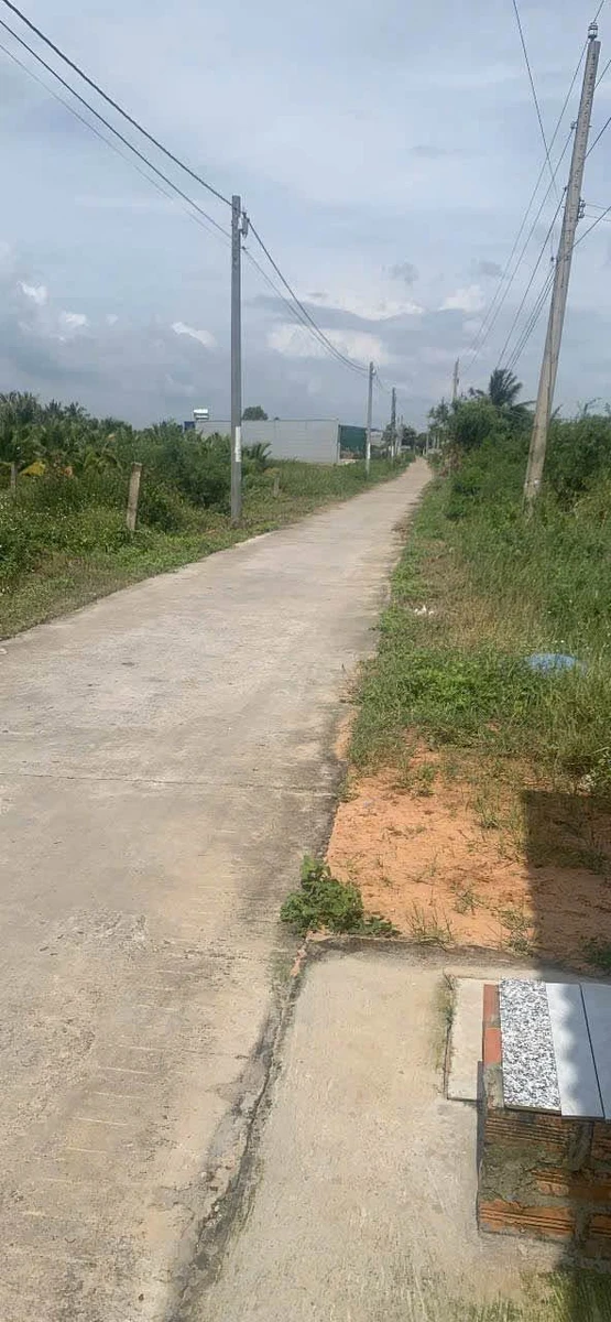 Bán đất cây trồng mặt tiền Phú Long Hàm Thắng 1013m² - Ảnh thu nhỏ 3