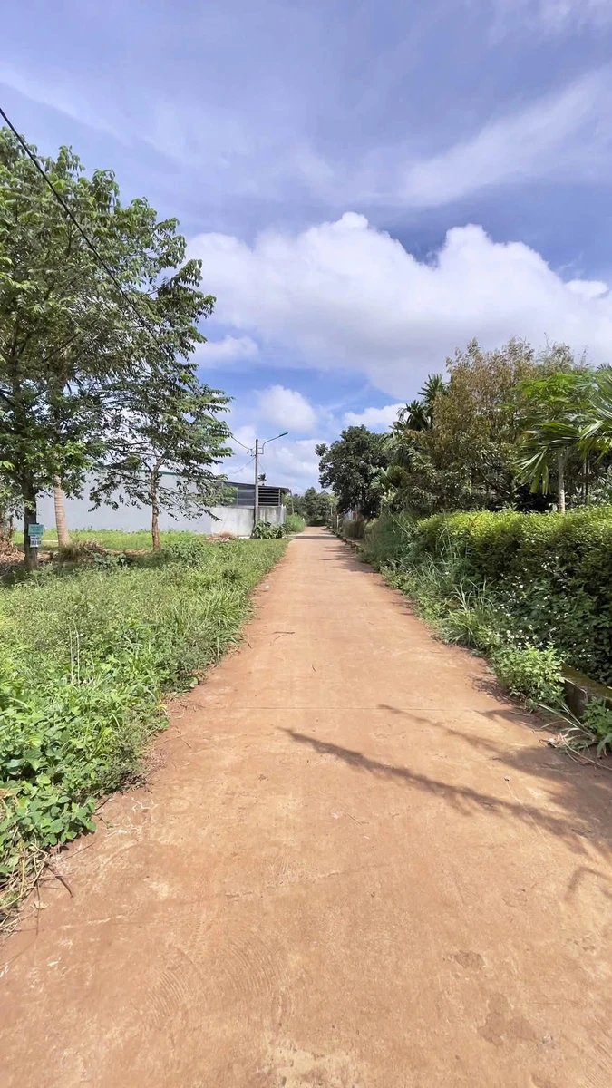 Bán đất 105m² gần Kotam, cách QL26 300m, Đắk Lắk - Ảnh thu nhỏ 3