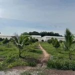 Bán đất Phú Giáo, Bình Dương 200-250m2, giá từ 390-590 triệu - Ảnh thu nhỏ 2