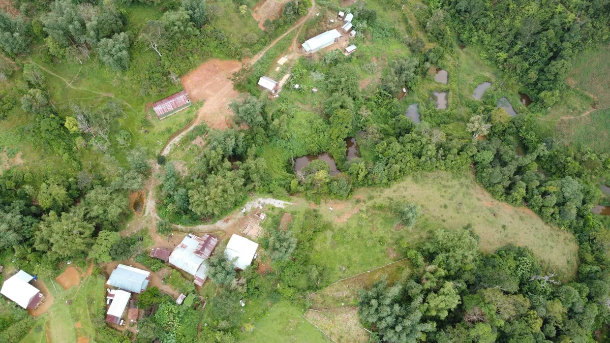 Bán đất Măng Đen 500m² view suối, Kon Tum - Ảnh thu nhỏ 5