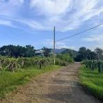 Bán 400m² đất quy hoạch thổ cư km 28 Hàm Thuận Nam - Ảnh thu nhỏ 4
