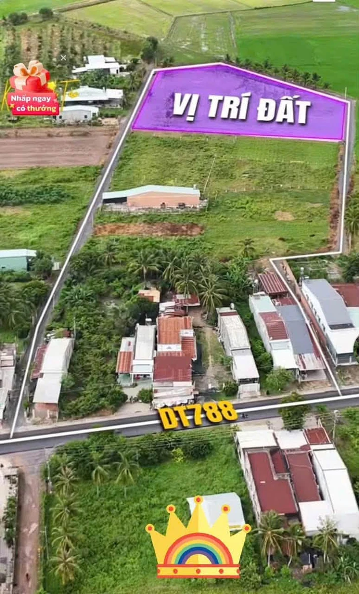 Bán đất nền 5x30m Ấp Chòm Dừa Châu Thành Tây Ninh - Ảnh thu nhỏ 5