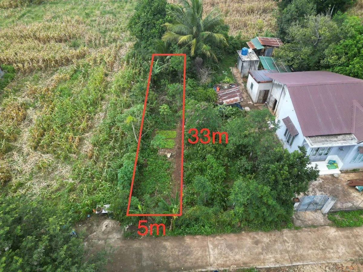 Bán đất Phường Khánh Xuân 165m² gần phim trường Xinh 790 triệu - Ảnh thu nhỏ 3