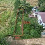 Bán đất Phường Khánh Xuân 165m² gần phim trường Xinh 790 triệu - Ảnh thu nhỏ 3