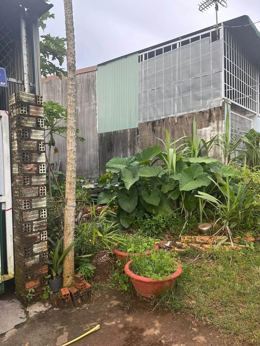 Bán lô đất nền 100m2 hẻm Trần Quý Cáp, Q.12 - Ảnh 1