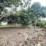 Bán đất 500m² Bảo Vinh Suối Chồn Long Khánh 1,25 tỷ - Ảnh thu nhỏ 3