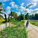 Bán nền đất 100 m² Kinh 5, Thạnh Lộc, Cần Giờ - Ảnh thu nhỏ 4