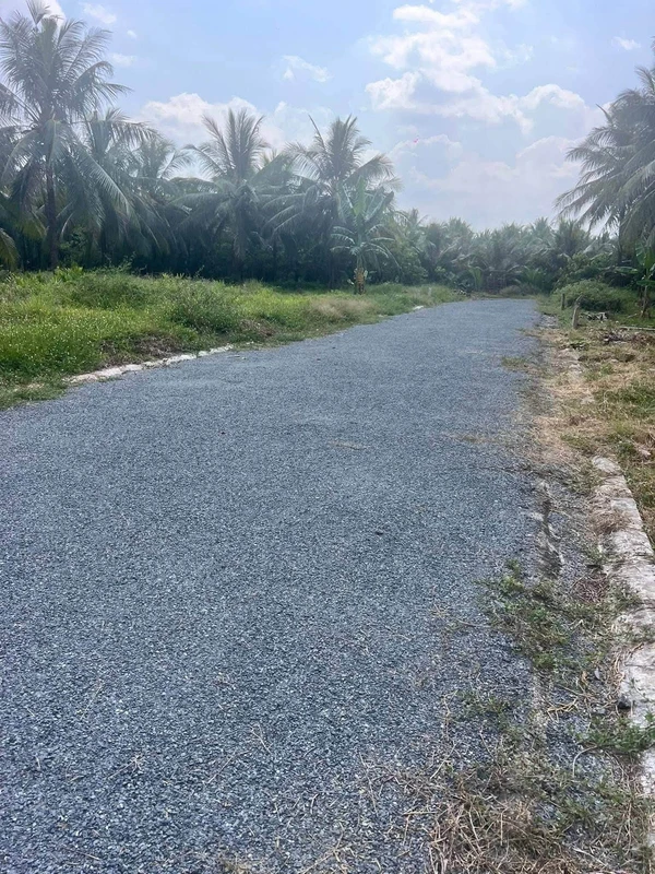 Bán đất nền 145m² xã Châu Hưng, Bình Đại, Bến Tre 400 triệu