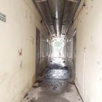 Bán 2 lô đất 200m2 đầu Trần Thị Lan, Hóc Môn, giá 5,8 tỷ - Ảnh thu nhỏ 3