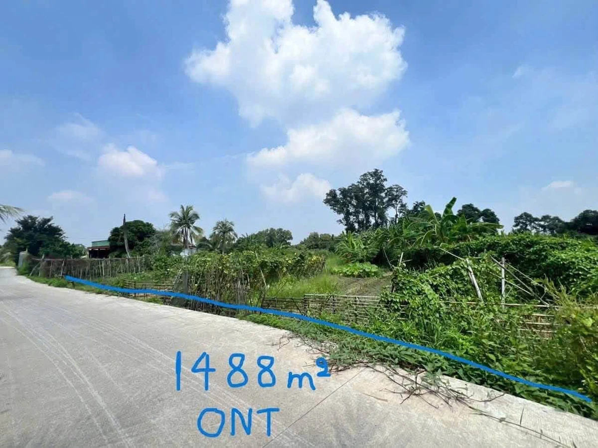 Bán đất thổ cư 1.488m2 mặt tiền 32m gần đường Vành Đai, Khánh Hậu, Tân An - Ảnh 1