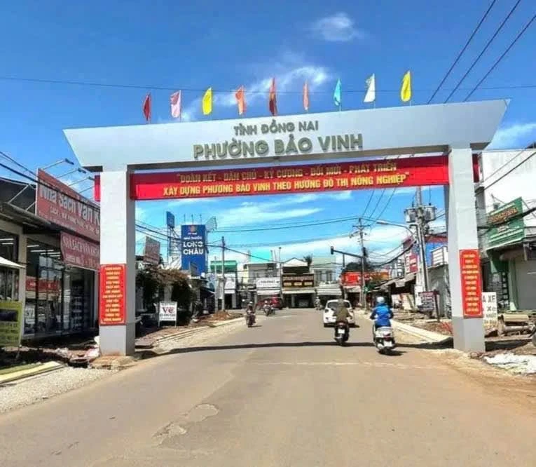 Bán 2 lô đất Long Khánh 209m², sổ hồng riêng 790 triệu - Ảnh 1
