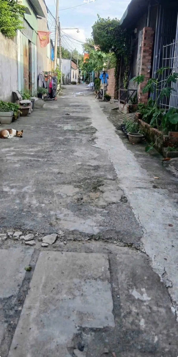 Bán nhà 1PN, sân rộng tại Vĩnh Cửu, 102 m² - Ảnh 1