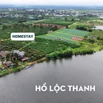 Bán đất 896m2 giáp hồ Lộc Thanh, đường Văn Cao, Phường 1, Bảo Lộc, giá 1,5 tỷ - Ảnh thu nhỏ 2