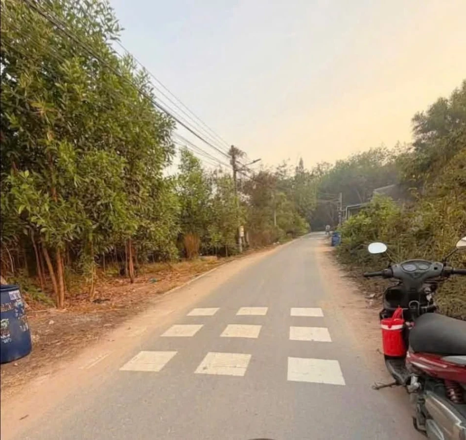 Bán lô đất An Tây Bình Chánh 4 tỷ 2 - Ảnh thu nhỏ 2