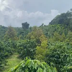 Bán 2.2ha đất kín gió ao suối Nam Jang - Ảnh thu nhỏ 1