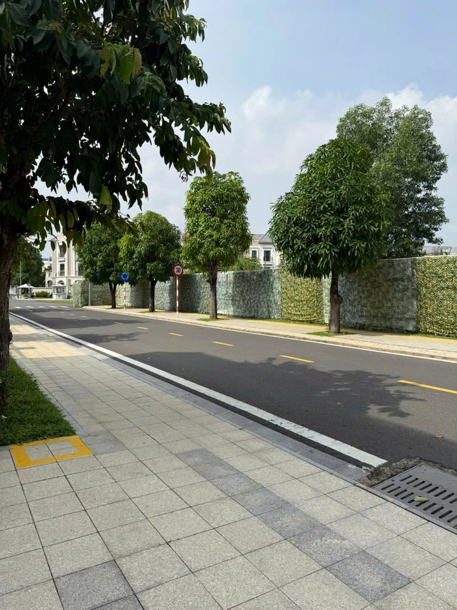 Biệt thự song lập Vinhomes Grand Park 412.5m², 65 tỷ - Ảnh thu nhỏ 4