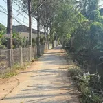 Bán nền 173m² Xã Bình Phú Bến Tre 790 triệu - Ảnh thu nhỏ 1