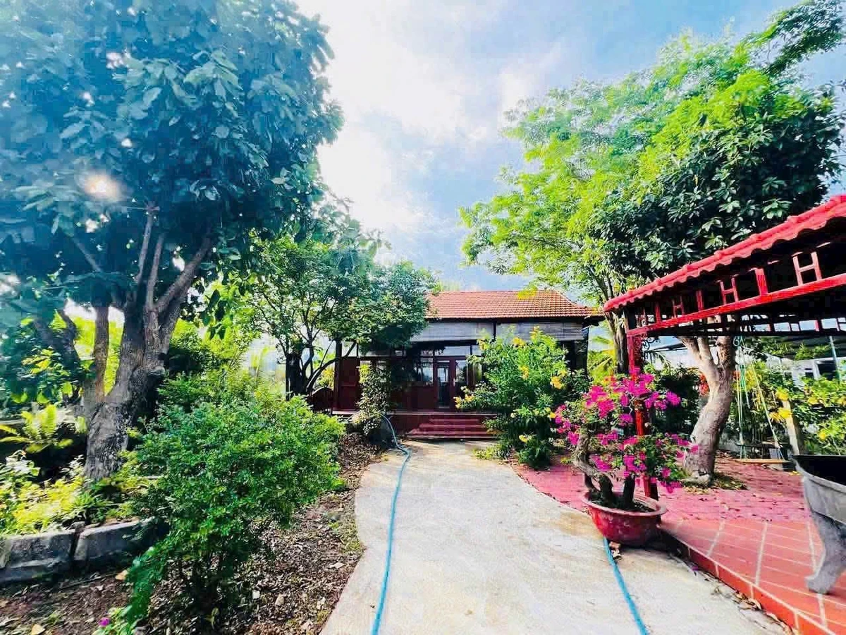 Bán nhà vườn 1.333m² Thôn 5 Hàm Liêm 1 tỷ 450 triệu - Ảnh thu nhỏ 3
