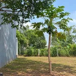 Bán lô đất 112m² gần Công Viên Thành Nhất 3,05 tỷ - Ảnh thu nhỏ 2