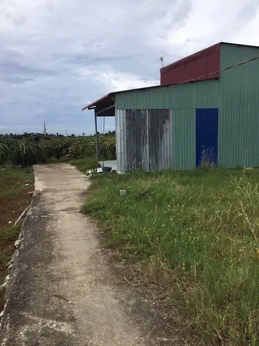 Bán nhà tiền chế 150m² Ấp 2, Xã Hoà Phú, Long An - Ảnh thu nhỏ 2