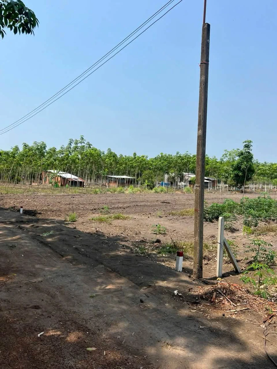 Bán đất sào 1000m² giá 299 triệu Chơn Thành - Ảnh thu nhỏ 2