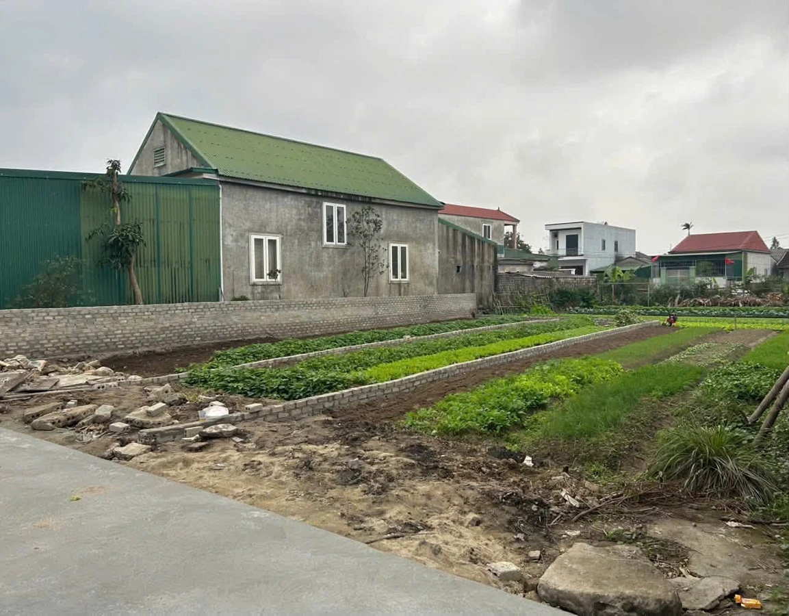 Bán đất Hưng Đông gần KCN Bắc Vinh 110m2, hướng Đông Nam - Ảnh thu nhỏ 4