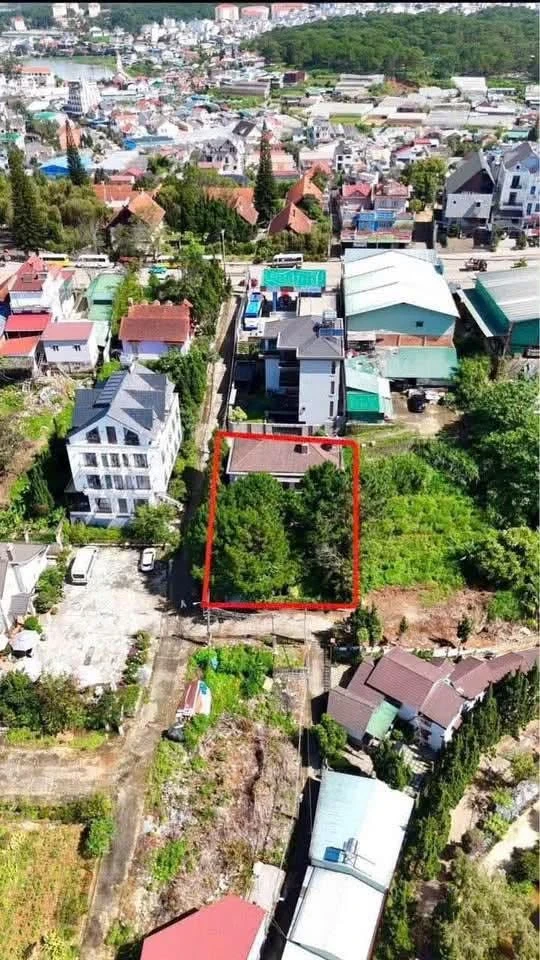 Bán villa 3 mặt tiền 525m² full thổ cư Hùng Vương, Đà Lạt - Ảnh thu nhỏ 3