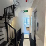 Bán tòa căn hộ dịch vụ 10 phòng 4,2x12m Nguyễn Đình Khơi, Tân Bình, giá 14,5 tỷ - Ảnh thu nhỏ 5