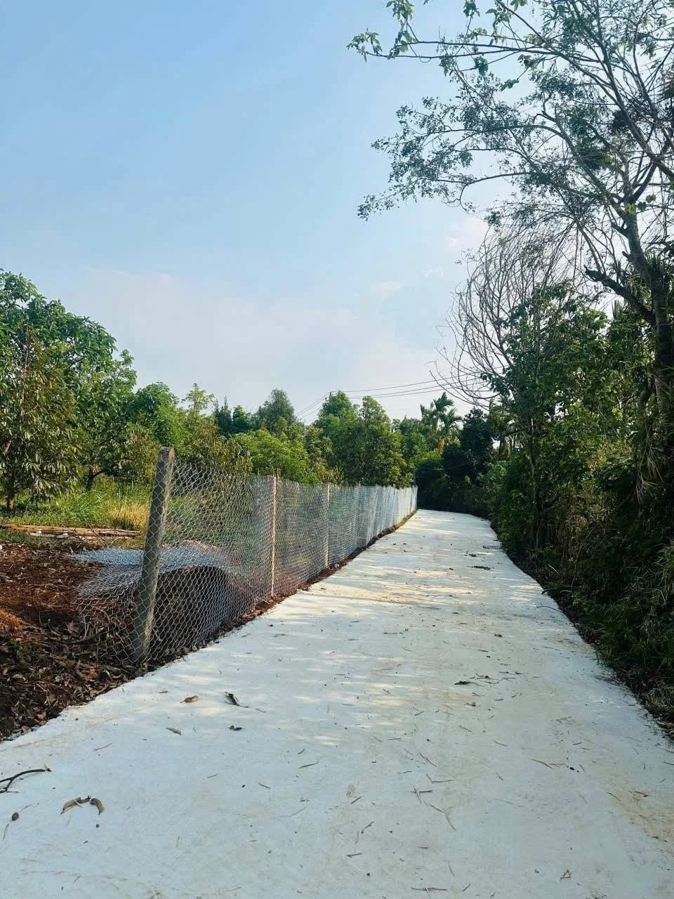 Bán đất mặt tiền đường 19/5 Bình Chánh 1116m2, 2 tỷ 650tr - Ảnh 1