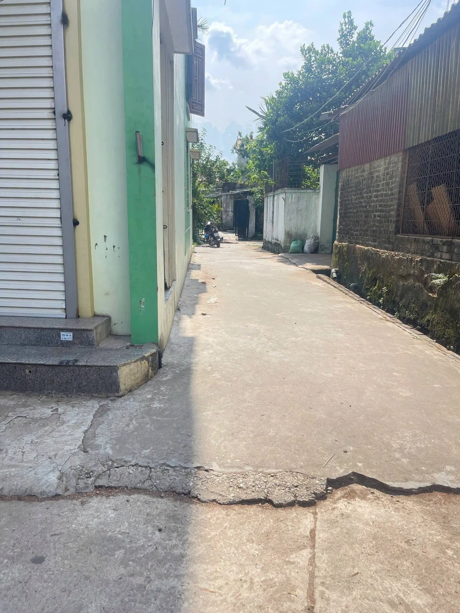 Bán đất Làng nghề mộc Đông Giao 100m2, lô góc - Ảnh 1