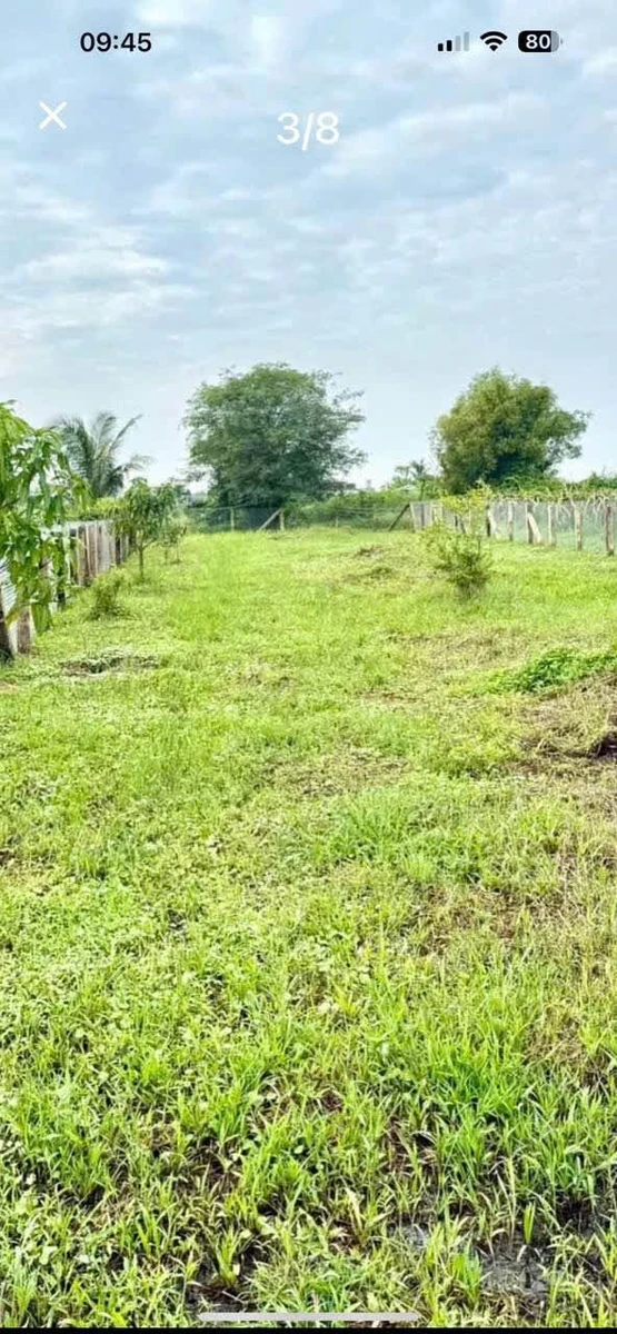 Bán lô đất 1 sào Hàm Liêm Phan Thiết 470 triệu - Ảnh thu nhỏ 3