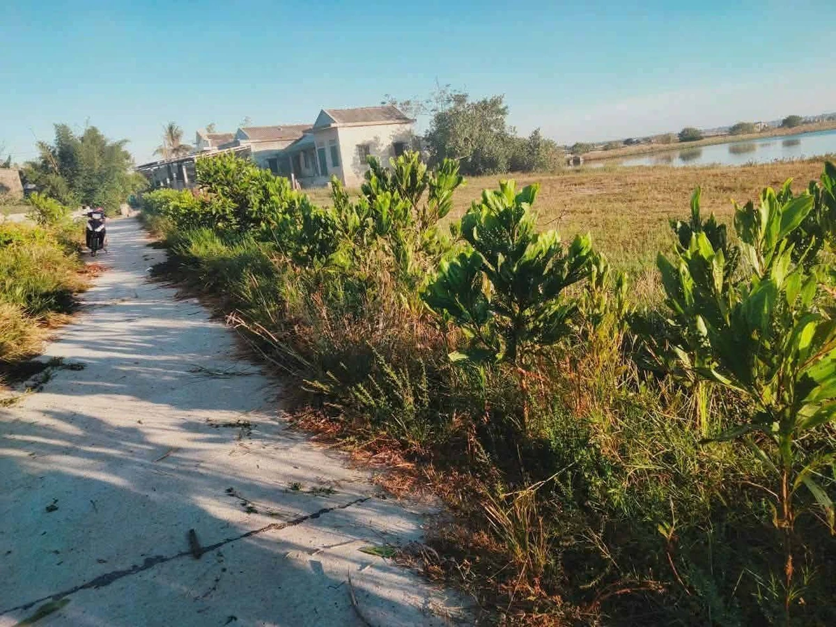 Bán đất view sông Tam Giang 200m2 tại Quảng Điền, Huế - Ảnh thu nhỏ 3