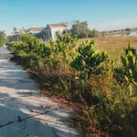 Bán đất view sông Tam Giang 200m2 tại Quảng Điền, Huế - Ảnh thu nhỏ 3